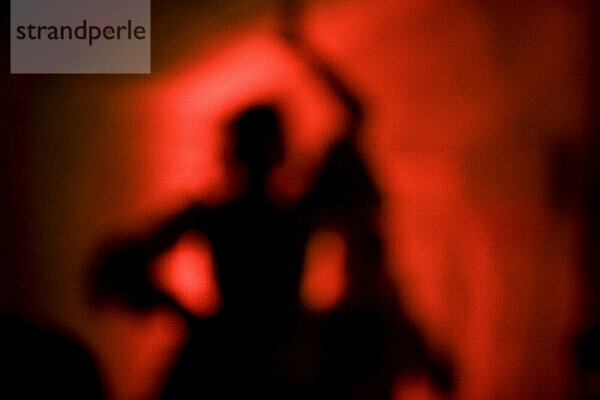 Eine Flamenco-Tänzerin oder Bailaora tritt in Granada  Andalusien  Spanien auf