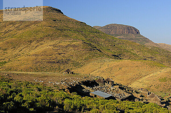 Kleines Basotho-Dorf in der Nähe von Ramabanta  Lesotho  Südafrika