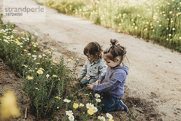 Kleine Kinder spielen auf einem Blumenfeld