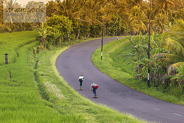 Zwei Longboard-Skateboarder in Aktion.