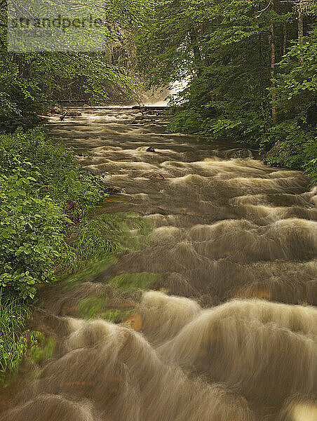 Hohes Wasser strömt den Poplar Stream unterhalb der oberen Wasserfälle im Carrabassett Valley  Maine  hinunter