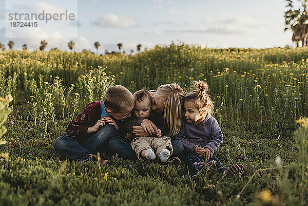 Vier Geschwister lächeln einander in einer Blumenwiese vor blauem Himmel an