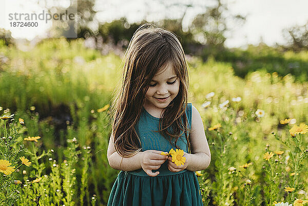 Mittlere Ansicht eines kleinen Mädchens  das eine Blume hält und lächelt und nach unten schaut