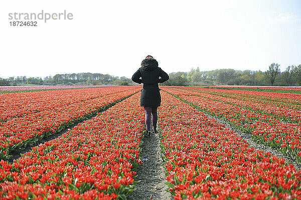 Junge Frau spaziert zwischen Tulpen in den Niederlanden.