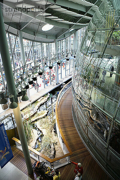 Blick aus der Vogelperspektive auf die Glaskuppel mit einem Durchmesser von 90 Fuß  in der sich die Regenwaldausstellung in der California Academy of Sciences in San Francisco  Kalifornien  befindet.