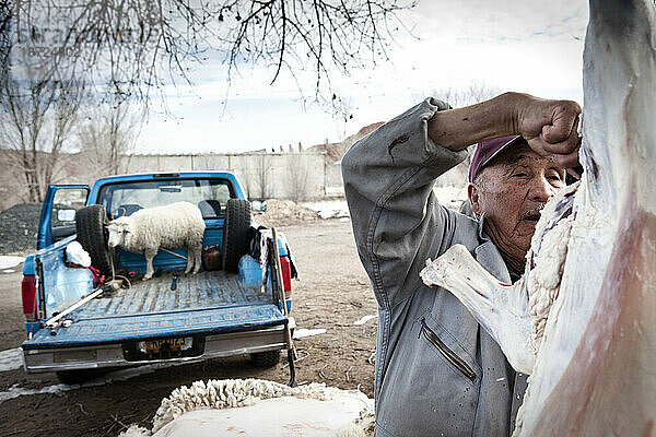 Ein Mann schlachtet ein Schaf in Navajo.