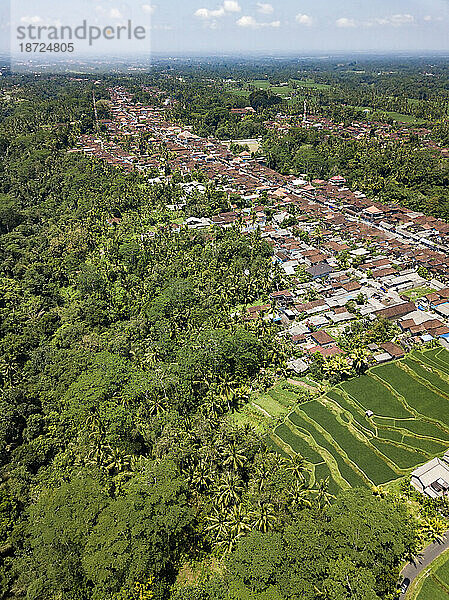 Reisfelder und Dorf  Ubud  Bali  Indonesien