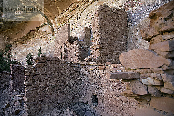 Der Grand Gulch in Utah beherbergt unzählige prähistorische Klippenwohnungen und Felsmalereien.