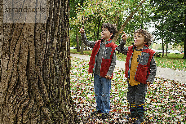 Zwei kleine Jungen erkunden fröhlich gemeinsam die Natur im Freien