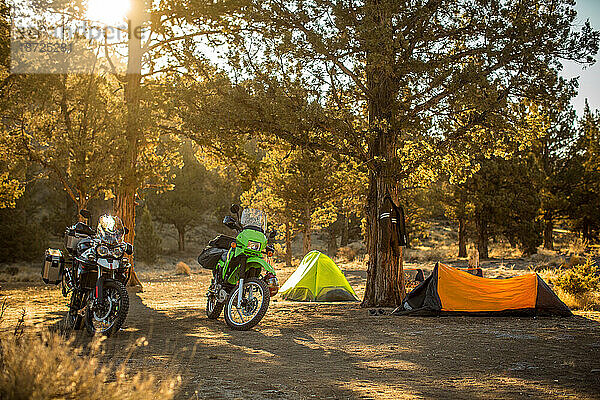 Abenteuer-Motorradcampingplatz im Wald mit Zelten in Zentral-Oregon