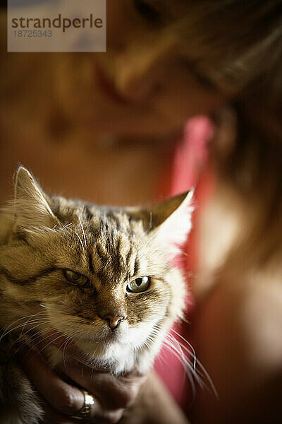 Eine Frau hält liebevoll ihre Katze.