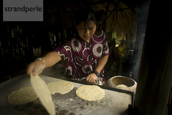 Eine lacandonische indigene Frau kocht Maistortillas in ihrem Haus in Lacanha  Chiapas  Mexiko