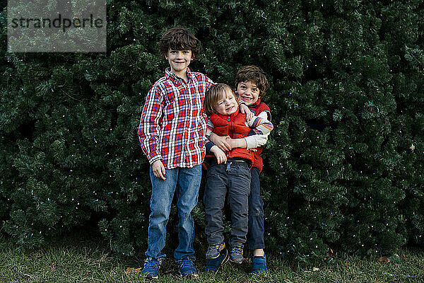 Drei verspielte Brüder stehen glücklich zusammen vor dem Baum