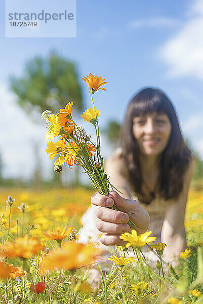Junge glückliche Frau schenkt Blumen auf einer sonnigen Wiese