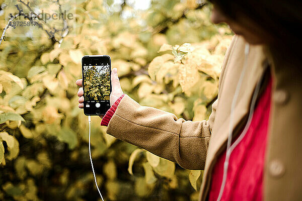 Wanderin macht an einem sonnigen Tag ein Foto mit dem Handy