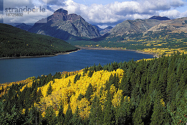 Herbstespen  Glacier National Park  MT