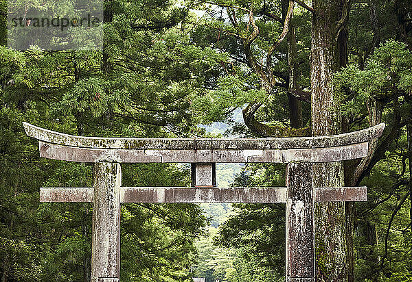 Torii-Tor des Futarasan-Jinja-Schreins in der Stadt Nikko  Japan