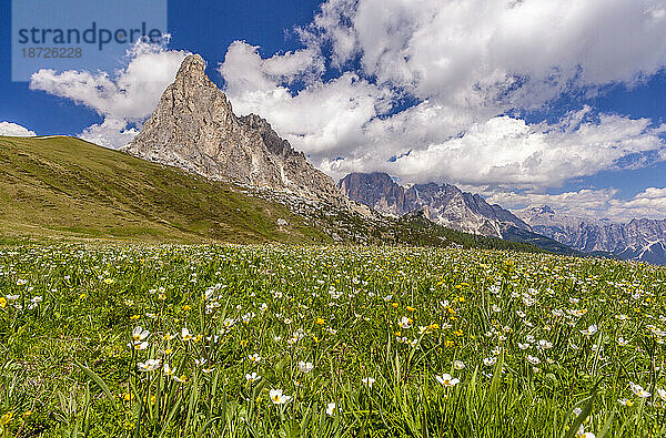 Ra Gusela vom Giau-Pass im Frühling  Dolomiten  Ampezzo  Italien