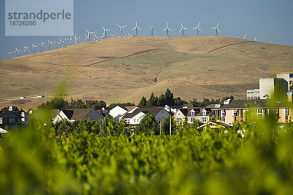 Die Windkraftanlagen des Windparks Altamont Pass überblicken die Häuser und Weinberge von Livermore  Kalifornien.