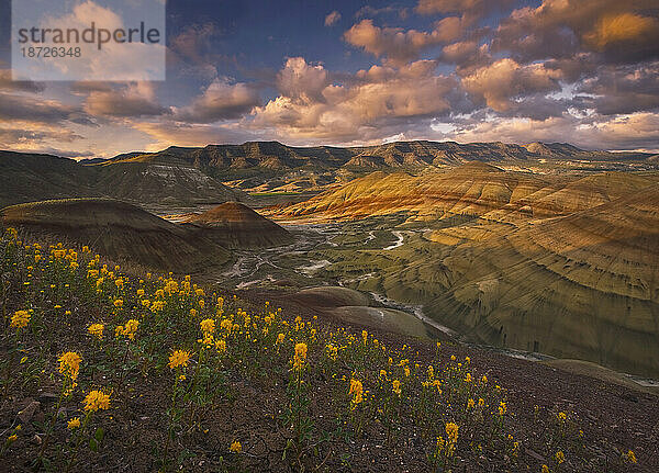Wunderschöne goldene Wildblumen ergänzen diese Sonnenuntergangsszene  die Oregons farbenfrohe Painted Hills darstellt.