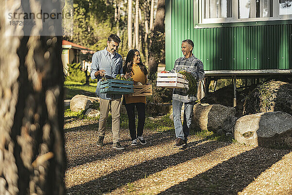 Friends carrying crates with freshly harvested organic vegetables at farm