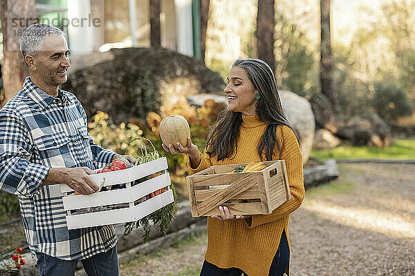 Man and woman carrying crates with freshly harvested organic vegetables talking at farm