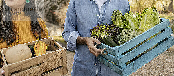 Freunde tragen Kisten mit frisch geerntetem Bio-Gemüse auf dem Bauernhof