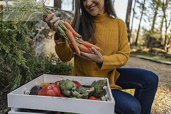 Reife Frau blickt auf frische Karotten  die neben einer Kiste im Garten knien