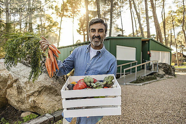 Reifer Mann steht im Garten und trägt eine Kiste mit frischem Gemüse