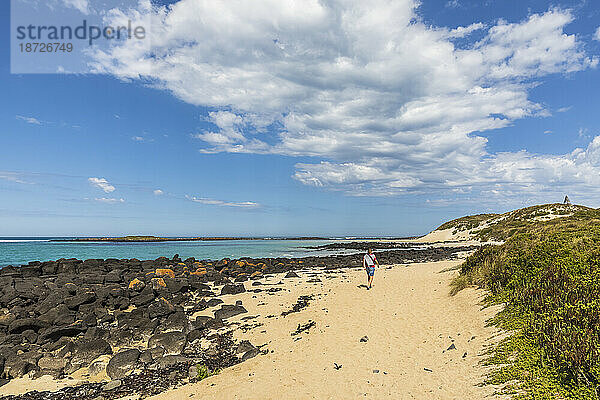 Australien  Victoria  Port Fairy  Touristin wandert am felsigen Strand im Port Fairy Coastline Protection Reserve entlang