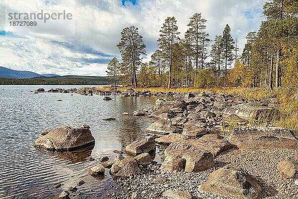 Femundsee  Femundsmarka Nationalpark  Femundsmark  Norwegen  Europa