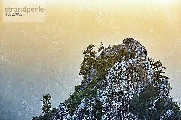 Felsformation im Abenddunst  mit Pinien bewachsen  Gegenlicht  Roque de los Pinos  Chinamada  Naturpark Anaga-Gebirge  La Laguna  Teneriffa  Spanien  Europa