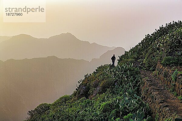 Wanderweg  Wanderer zwischen Opuntien am Hang  Bergketten am Horizont  Gegenlicht  Naturpark Anaga-Gebirge  San Cristóbal de La Laguna  Teneriffa  Spanien  Europa