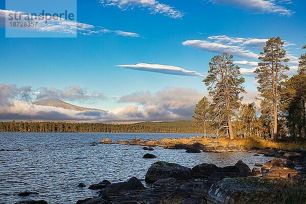 Femundsee  Femundsmarka Nationalpark  Femundsmark  Norwegen  Europa