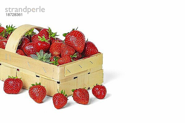 Gartenerdbeeren (Fragaria ananassa) im Korb  Kopierraum  weißer Hintergrund