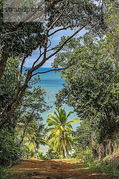 Ankunft in Prainha  einem wunderschönen kleinen Strand inmitten von geschütztem Regenwald in Serra Grande an der Südküste von Bahia  Brasilien  Südamerika