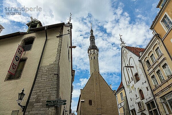 Stadtansicht von Tallinn  Estland  Europa