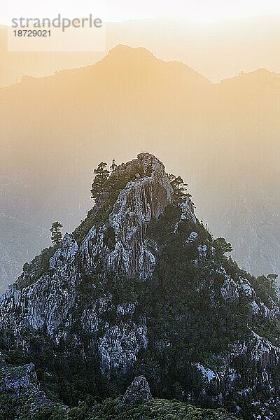 Felsformation im Abenddunst  mit Pinien bewachsen  Gegenlicht  Roque de los Pinos  Naturpark Anaga-Gebirge  La Laguna  Teneriffa  Spanien  Europa