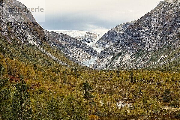 Nigardsbreen-Gletscher. Jostedalsbreen National Park  Norwegen  Europa