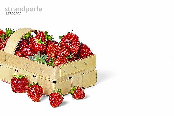 Gartenerdbeeren (Fragaria ananassa) im Korb  Kopierraum  weißer Hintergrund