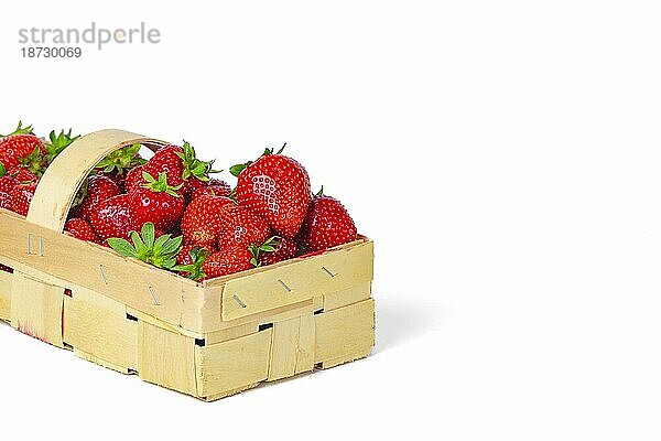 Gartenerdbeeren (Fragaria ananassa) im Korb  Kopierraum  weißer Hintergrund