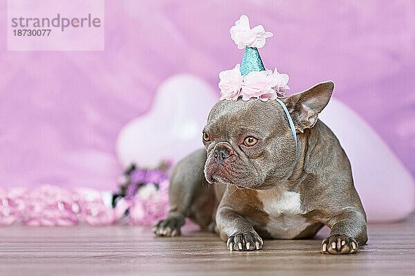 Französische Bulldogge mit Geburtstagsteil Hut vor verschwommenen rosa Hintergrund mit Blumen und herzförmigen Luftballons