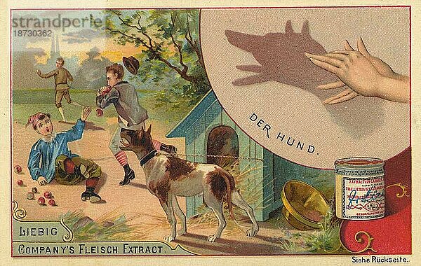 Der Hund  digital restaurierte Reproduktion eines gemeinfreien Sammelbildes von ca 1900  Liebig Bilderserie Handschatten Schattenbilder (1893)