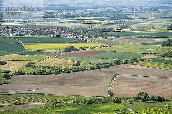 Agrarlandschaft in Unterfranken aus der Vogelperspektive  Bayern  Deutschland  Europa