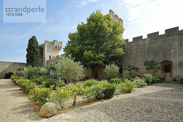 Innenhof vom historisches Château du roi René erbaut 15. Jhdt  Tarascon  Schloss  Burg  Garten  Befestigung  Bouches-du-Rhône  Provence  Frankreich  Europa