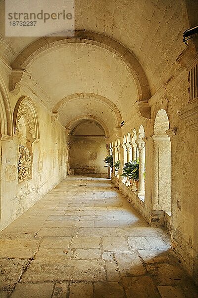 Innenansicht Kreuzgang im Kloster Saint-Paul-de-Mausole  St  Saint-Rémy-de-Provence  Provence  Alpilles  Alpillen  Bouches-du-Rhône  Frankreich  Europa