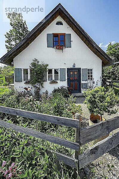 Kleines Häuschen mit Garten in Immenthal  Gemeinde Günzach  Allgäu  Bayern  Deutschland  Europa