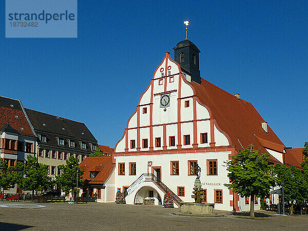 Rathaus mit Marktplatz in Grimma in sachsen. City Hall and market place in Grimma in Saxony