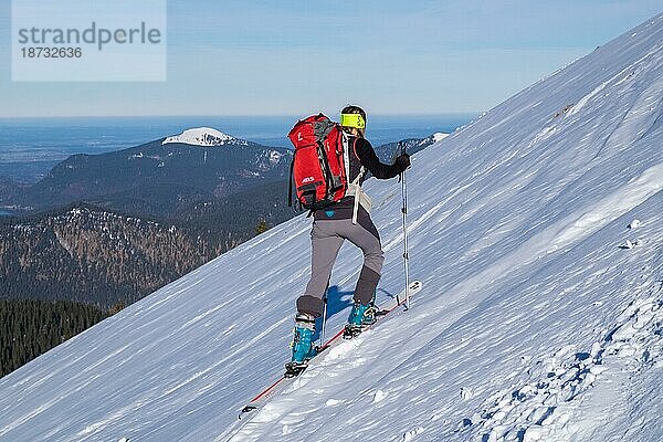 Skitourengehen auf den Grenzberg Schafreuter im Karwendel  Tirol  Bayern  Österreich  Deutschland  Europa