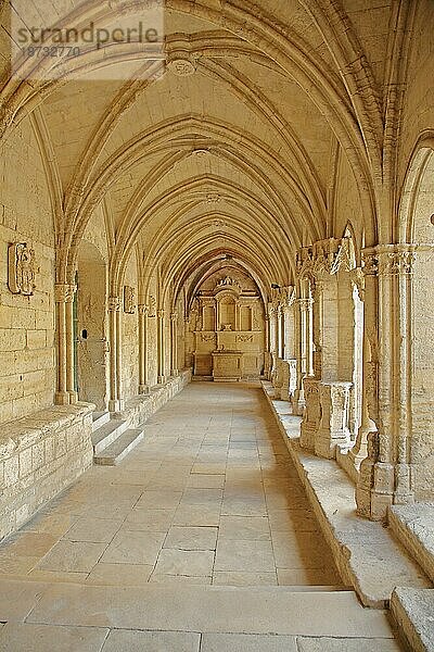 Kreuzgang im romanischen Kloster Cloître St-Trophime  Innenansicht  Saint  Kloster  Klosterkirche  romanisch  Arles  Bouches-du-Rhône  Camargue  Provence  Frankreich  Europa